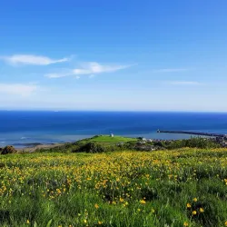 Folkestone Downs - Folkestone