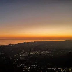 Folkestone Downs - Folkestone