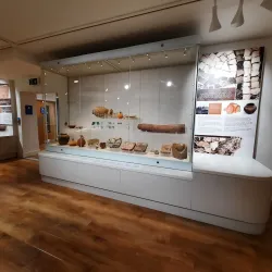 Folkestone Museum - Folkestone