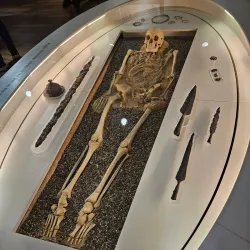 Folkestone Museum - Folkestone