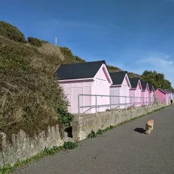 Lower Leas Coastal Park - Folkestone