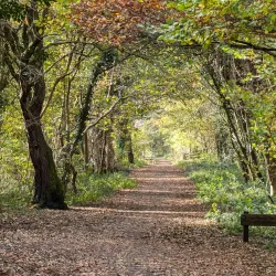 Derwent Walk Country Park - Gateshead