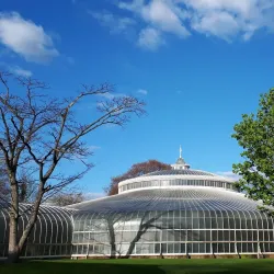 Glasgow Botanic Gardens - Glasgow