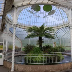 Glasgow Botanic Gardens - Glasgow