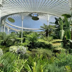 Glasgow Botanic Gardens - Glasgow