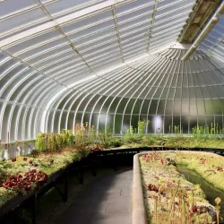 Glasgow Botanic Gardens - Glasgow