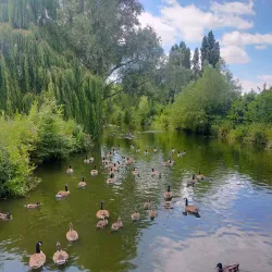 Gloucester Park - Gloucester