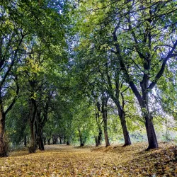 Robinswood Hill Country Park - Gloucester