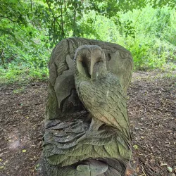 Robinswood Hill Country Park - Gloucester