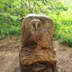 Robinswood Hill Country Park - Gloucester