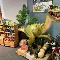 The Museum of Gloucester - Gloucester