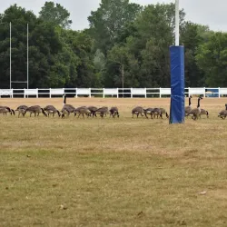 Broadwater Park - Godalming