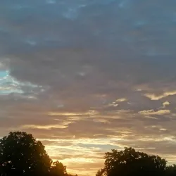 Broadwater Park - Godalming