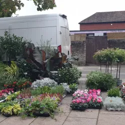 Godalming Farmers' Market - Godalming