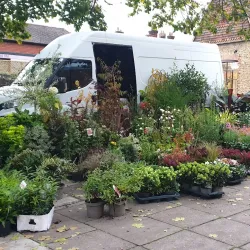 Godalming Farmers' Market - Godalming