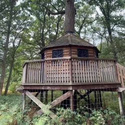 Hatchlands Park - Godalming