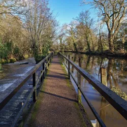 River Wey Navigation - Godalming