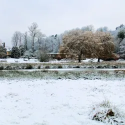St Peter & St Paul Church - Godalming