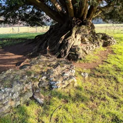 Waverley Abbey - Godalming