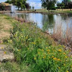 Gravesend Riverside - Gravesend