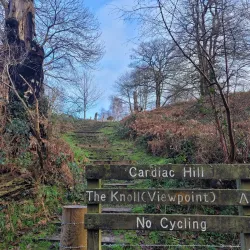 Shorne Woods Country Park - Gravesend