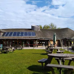 Shorne Woods Country Park - Gravesend