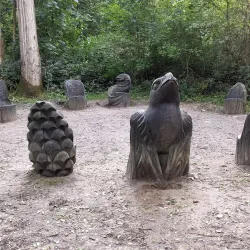 Shorne Woods Country Park - Gravesend