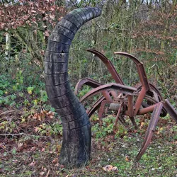 Shorne Woods Country Park - Gravesend