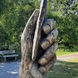 Shorne Woods Country Park - Gravesend