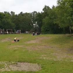 Shorne Woods Country Park - Gravesend