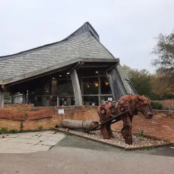 Shorne Woods Country Park - Gravesend