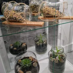 St. Andrew's Art Centre and Gallery - Gravesend