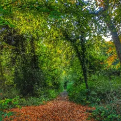 Chafford Gorges Nature Park - Grays