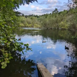 Chafford Gorges Nature Park - Grays