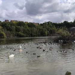 Chafford Gorges Nature Park - Grays