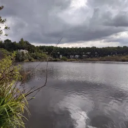 Chafford Gorges Nature Park - Grays