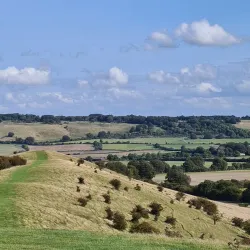 Chiltern Hills Area of Outstanding Natural Beauty - Great Missenden