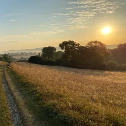 Chiltern Hills Area of Outstanding Natural Beauty - Great Missenden
