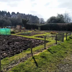 The Lee Common and Hampden Pond - Great Missenden