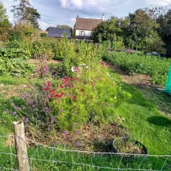 The Lee Common and Hampden Pond - Great Missenden