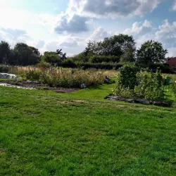 The Lee Common and Hampden Pond - Great Missenden