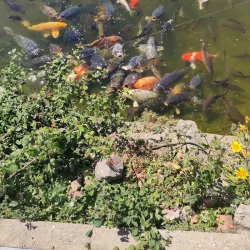 Merrivale Model Village - Great Yarmouth