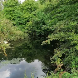 Brent Valley Golf Club - Greenford