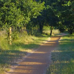 Brent Valley Golf Club - Greenford