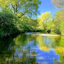 Perivale Park - Greenford