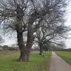 Perivale Park - Greenford