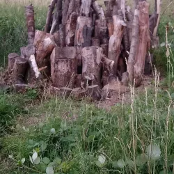 Perivale Park - Greenford