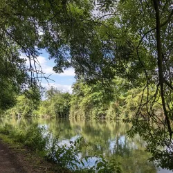 Perivale Wood Local Nature Reserve - Greenford