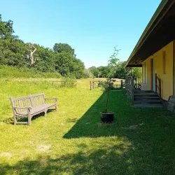 Perivale Wood Local Nature Reserve - Greenford