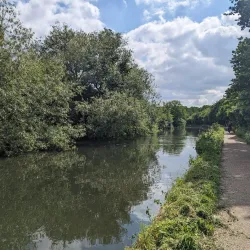 Perivale Wood Local Nature Reserve - Greenford